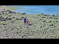 Lighthouse Park Mukilteo Beach Washington State