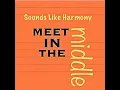 Meet In The Middle