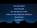 Download Lagu incredible love-Emma Heesters (Lyrics Video)