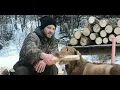 LIVE Below Zero W Johnny Rolfe Java