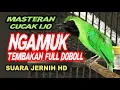 Download Lagu MASTERAN CUCAK IJO TERBAIK | full tembakan