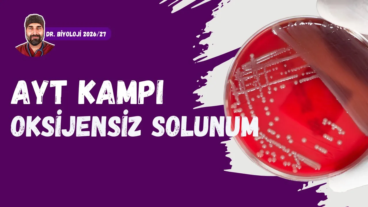 Oksijensiz Solunum | Dr. Biyoloji | AYT Dönem 2026 - 2027