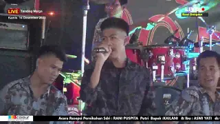 Download TERANG KEMBALI|| OM QUEEN MUSIC PALEMBANG || ZAMPRO STUDIO || TANDING MARGA SUNGAI ROTAN MP3