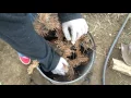 Green s DIY cremation and how to