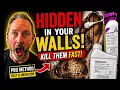 How to Get Rid of Carpenter Ants FAST Fuse Foam Advance Bait