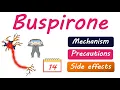 Buspirone Buspar for Anxiety - Uses dose and side effects