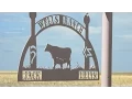 The Wells Family a Colorado Story