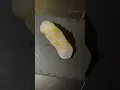 omakase at norifish