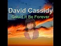 Could It Be Forever