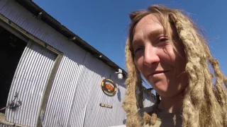 Episode 387 – The Rype and Ready –  Life of a Gypsy Day 279