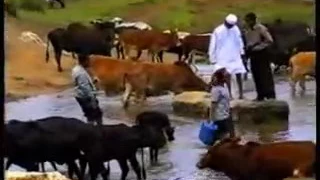 Addisuu Furgaasa Oromo Music Badiyyaa Biyyaa Koo 