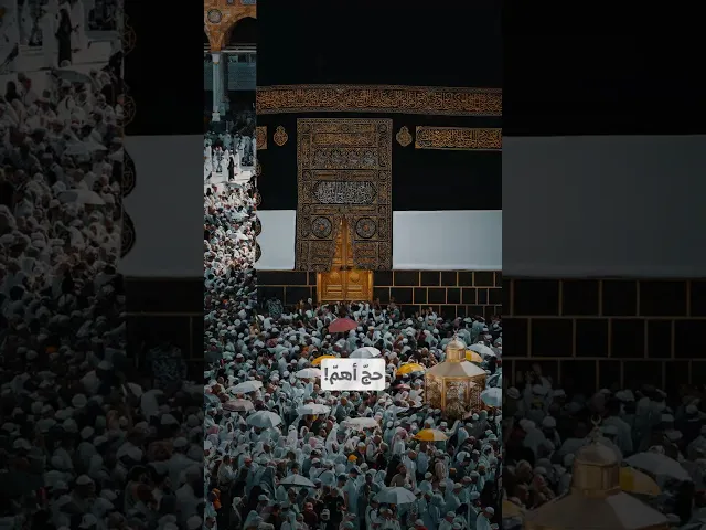 ⁣حجّ أهمّ! I السيد هاشم الحيدري