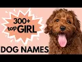 300 Unique Female Dog Names Girl Dog Names