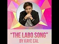 The Labo Song kaye cal