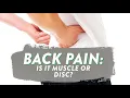 Lagu How do you know if back pain is muscle or disc?