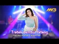 Download Lagu SHEPIN MISA - TRETEG LEMBU PETENG ( Official Music Video )