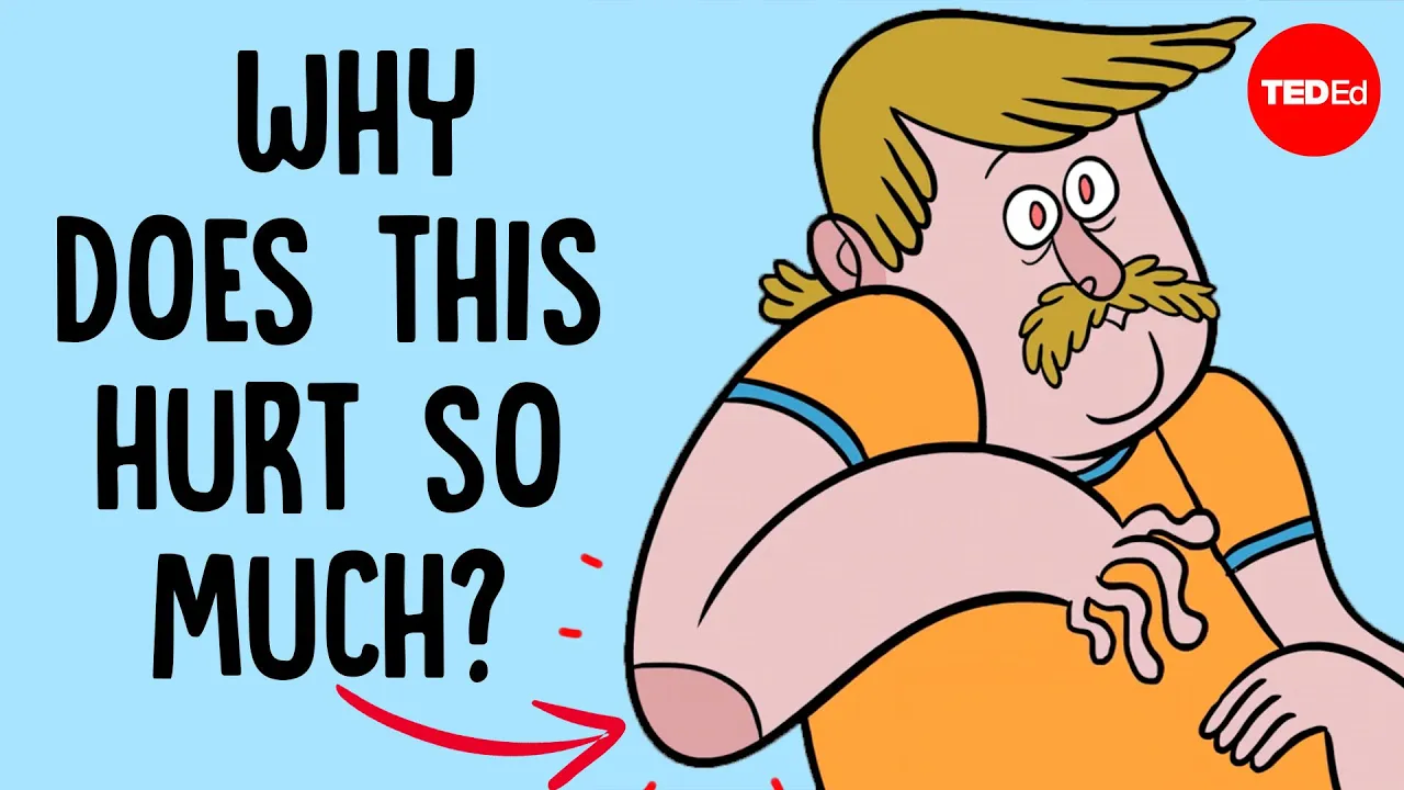 Outline Video Why does hitting your funny bone feel so horrible? - Cella Wright