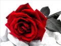Download Lagu rose rosse - massimo ranieri