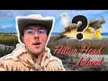 Top Wildlife Encounters on Hilton Head Island SC