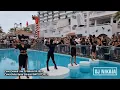 Download Lagu DJ Nikaia 2024 Live⁴ᴷ Vol 20 Ibiza | Live Set ANTS Style Party Ibiza (Ready for Ibiza 2024?)