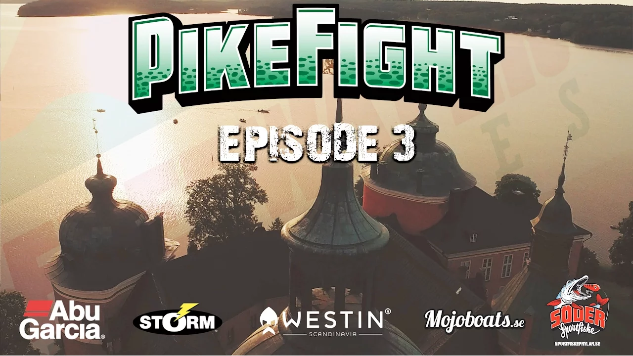 video Pike fight 2016