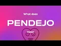 What does pendejo mean - short and simple explanation
