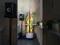 Download Lagu IT’S OUT 🤩🌱 “Gardyn Studio” our most compact \u0026 affordable indoor garden yet 🔗 in you know where!