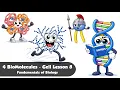 The 4 Biomolecules Cell Unit Lesson 8
