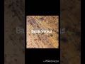 Download Lagu Banda Versus-Amor Bandido