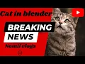 cat in blender I cat l twitter cat in blender l cat in a blender