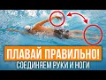 Download Lagu Соединяем ноги и руки в кроле правильно! 5 упражнений, которые поставят технику плавания кролем