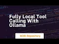 Fully local tool calling with ollama