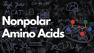 Nonpolar Amino Acids Aliphatic and Aromatic MCAT