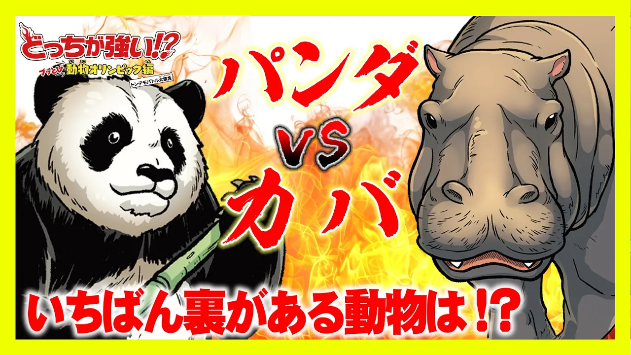 【どっちが強い】いちばん裏がある動物は?パンダ?カバ?見た目に騙されると危險?!