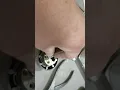 Defiant spin to lock deadbolt disassembly and function
