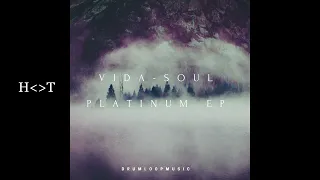 vida soul neuro original mix 