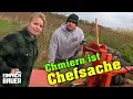 Download Lagu Chmiern ist Chefsache - Wenn der Bauer undeutlich chpricht!