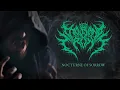 Download Lagu TEN THOUSAND CROWS | Nocturne Of Sorrow [Official Video] | New Australian Metalcore, Deathcore