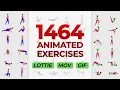 Your Fitness App Needs This 1400 Animated Exercises Lottie MOV GIF