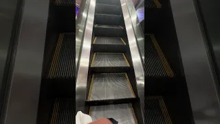                دندنها