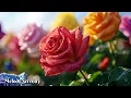 Download Lagu Самая красивая мелодия в мире🌺Эту музыку можно слушать вечно🌿Сергей Грищук  #16