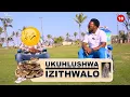 Download Lagu Kunento engihamba esiswini engathi ngikhulelwe ngiyindoda | UKUHLUSHWA IZITHWALO