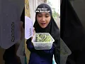 Lagu Cara Semai Cabe Rawit Merah dengan Cabai Merah Yang Sudah Layu #berkebun #caberawitsubur