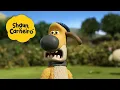 Lagu Choque na fazenda🐑Shaun, o Carneiro [Shaun the Sheep]🐑 Hora Especial🐑| Cartoons Para Crianças