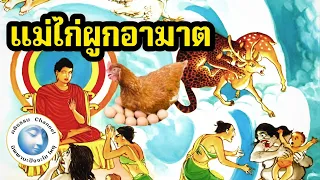 นิทานชาดก นิทานจากพระไตรปิฏก พระพุทธเจ้า แม่ไก่ผูกอาฆาต