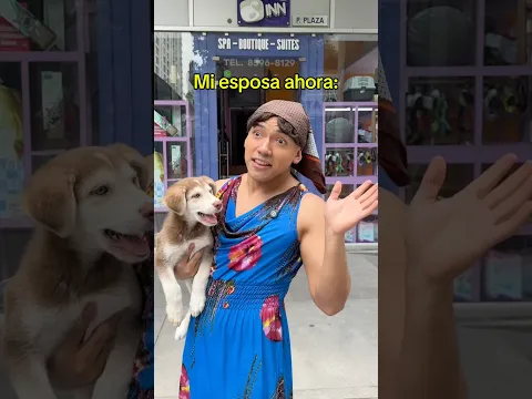El perro salió caro 😳