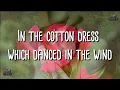 Don Williams - Senorita (lyrics).