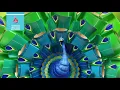 Kaleidoscope Animated TV Commercial Sherwin Williams