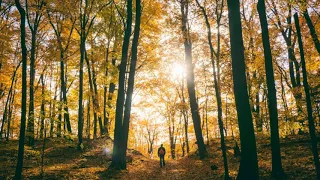 lord i need you versi g d bahasa indonesia