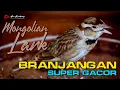 Download Lagu BRANJANGAN MONGOL SUPER GACOR FUL MATERI _ MONGOLIAN LARK _